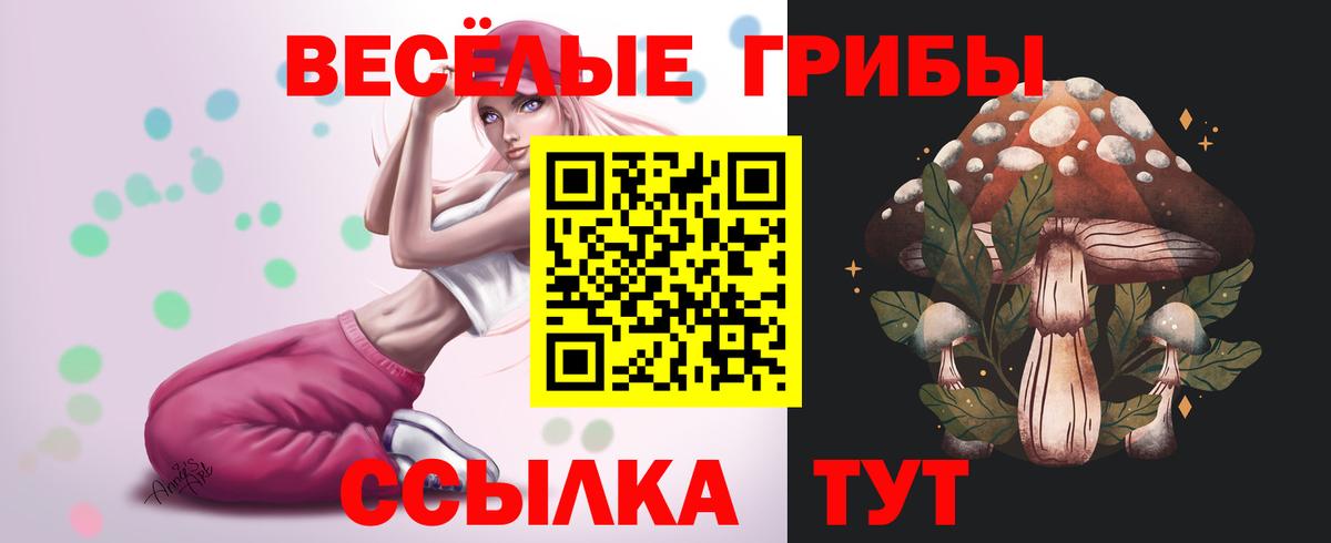 Псилоцибиновые грибы Cubensis Светлоград