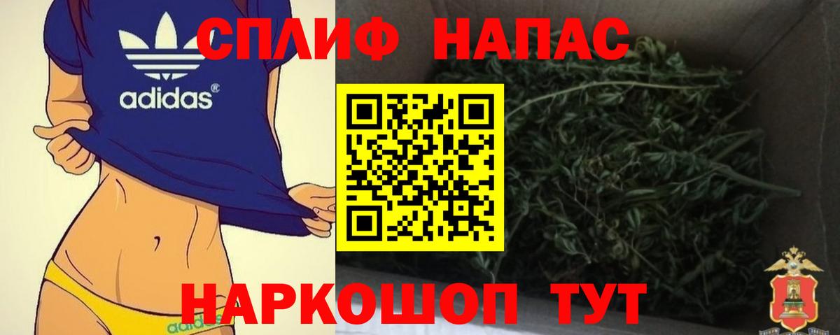 Конопля OG Kush Светлоград